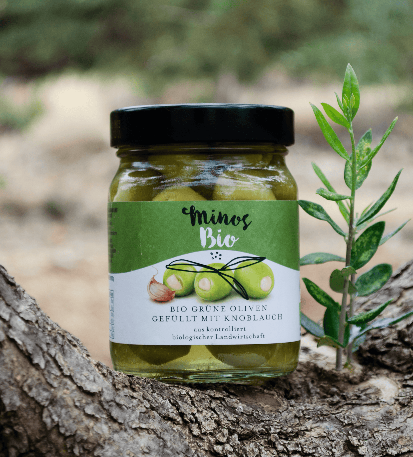 BIO Grüne Oliven mit Knoblauch 370ml