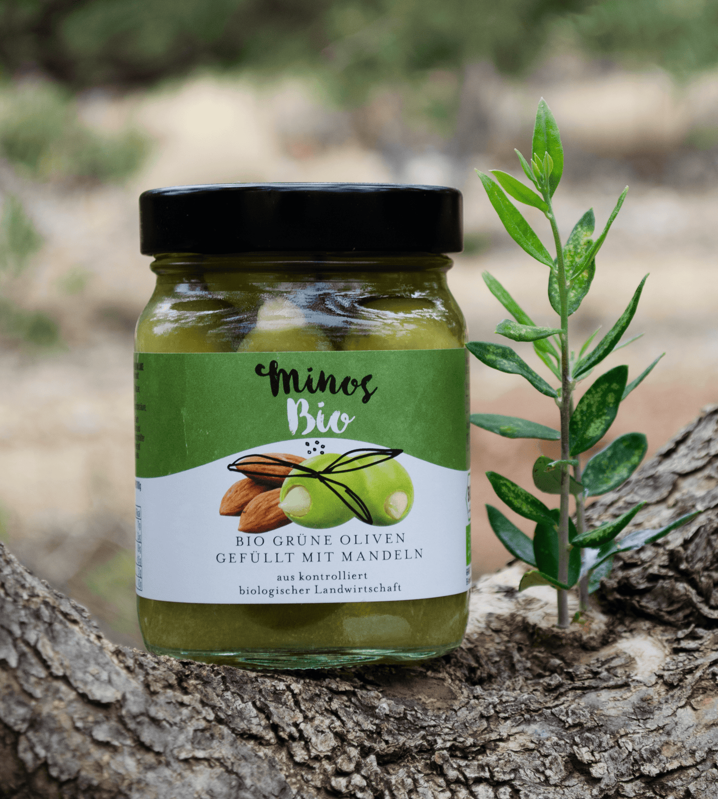 BIO Grüne Oliven mit Mandeln 370ml